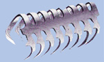 Steel Belt Lacing